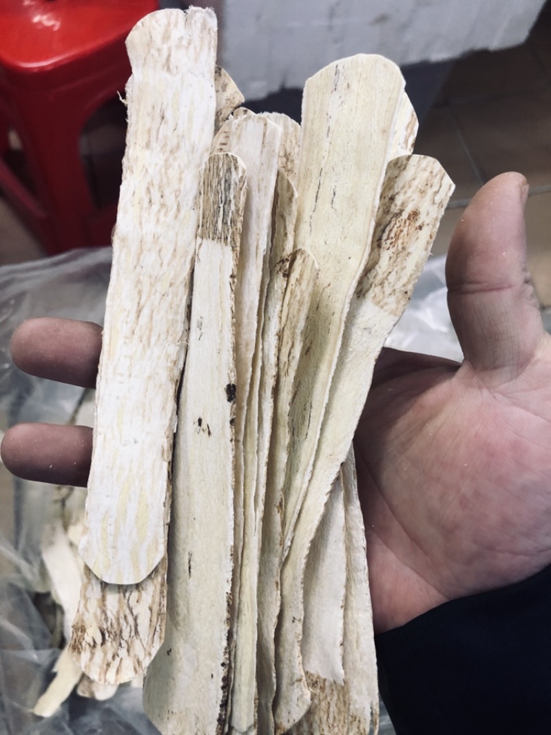 黄芪直片、特大、甘肃岷县、3至4.0厘米宽、一手货源