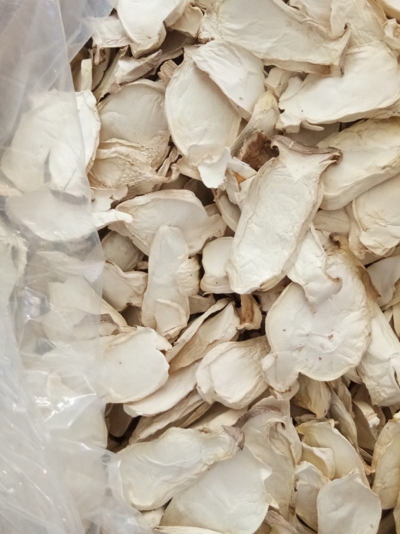 杏鲍菇大量批发量大从优保质保量欢迎各位老板来店选购