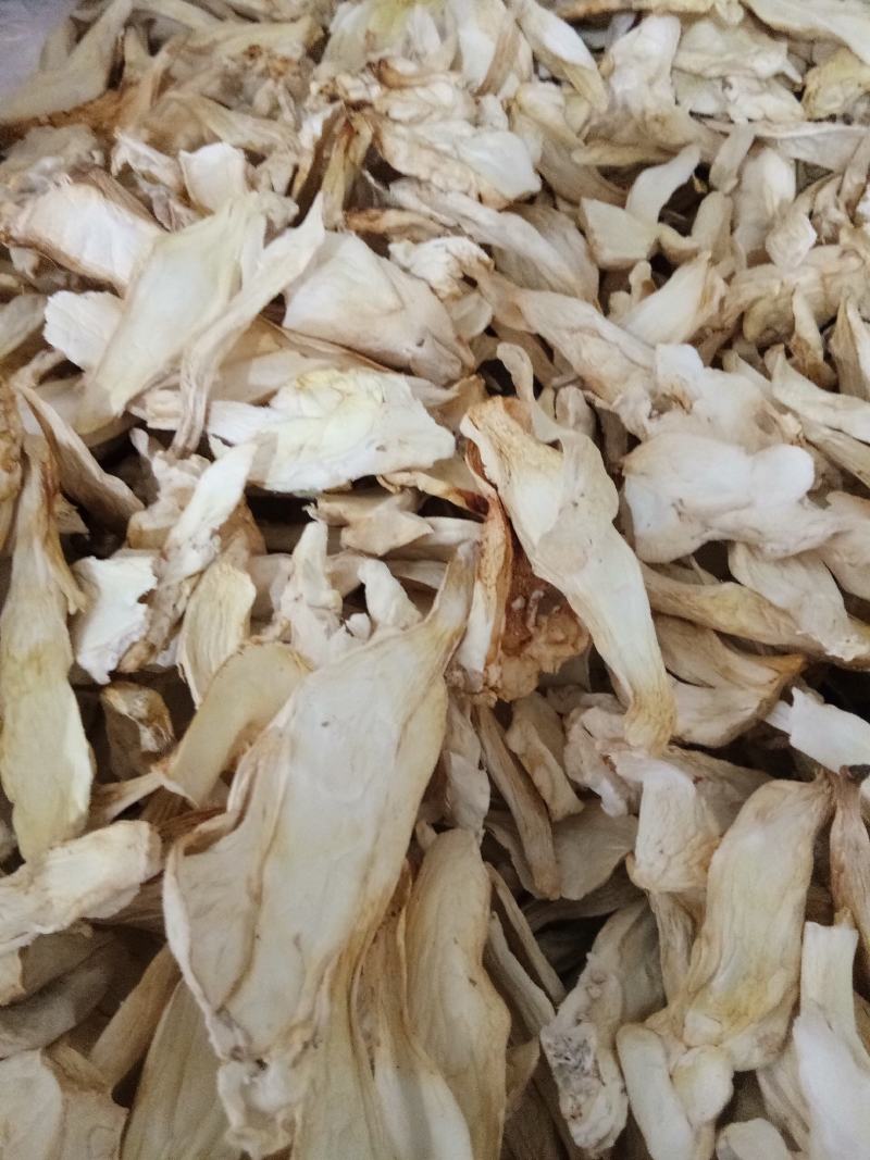 杏鲍菇大量批发量大从优保质保量欢迎各位老板来店选购