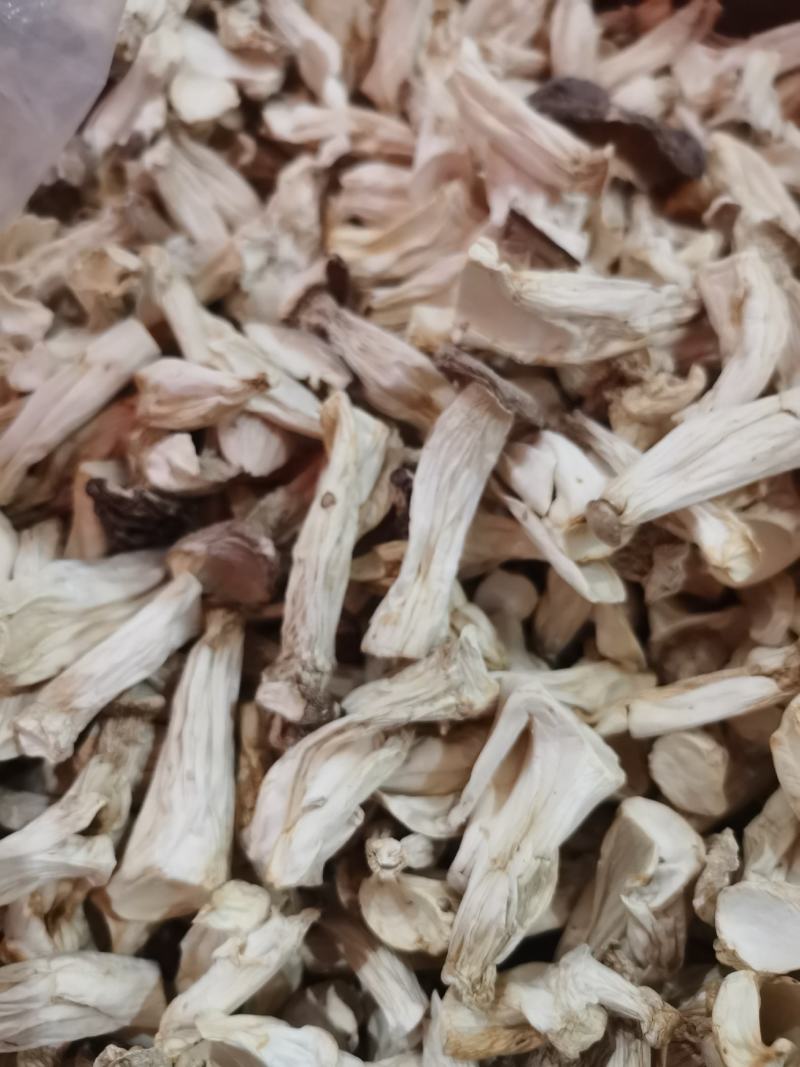 杏鲍菇大量批发量大从优保质保量欢迎各位老板来店选购