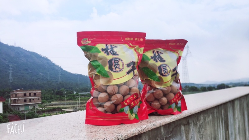 厦门特产同安凤梨穗龙眼干，肉厚味足，好品种，高品质！