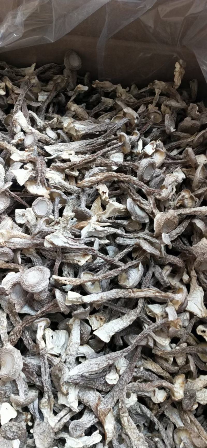 优质的鹿茸大量批发，欢迎来店选购各种规格都有，量大从优
