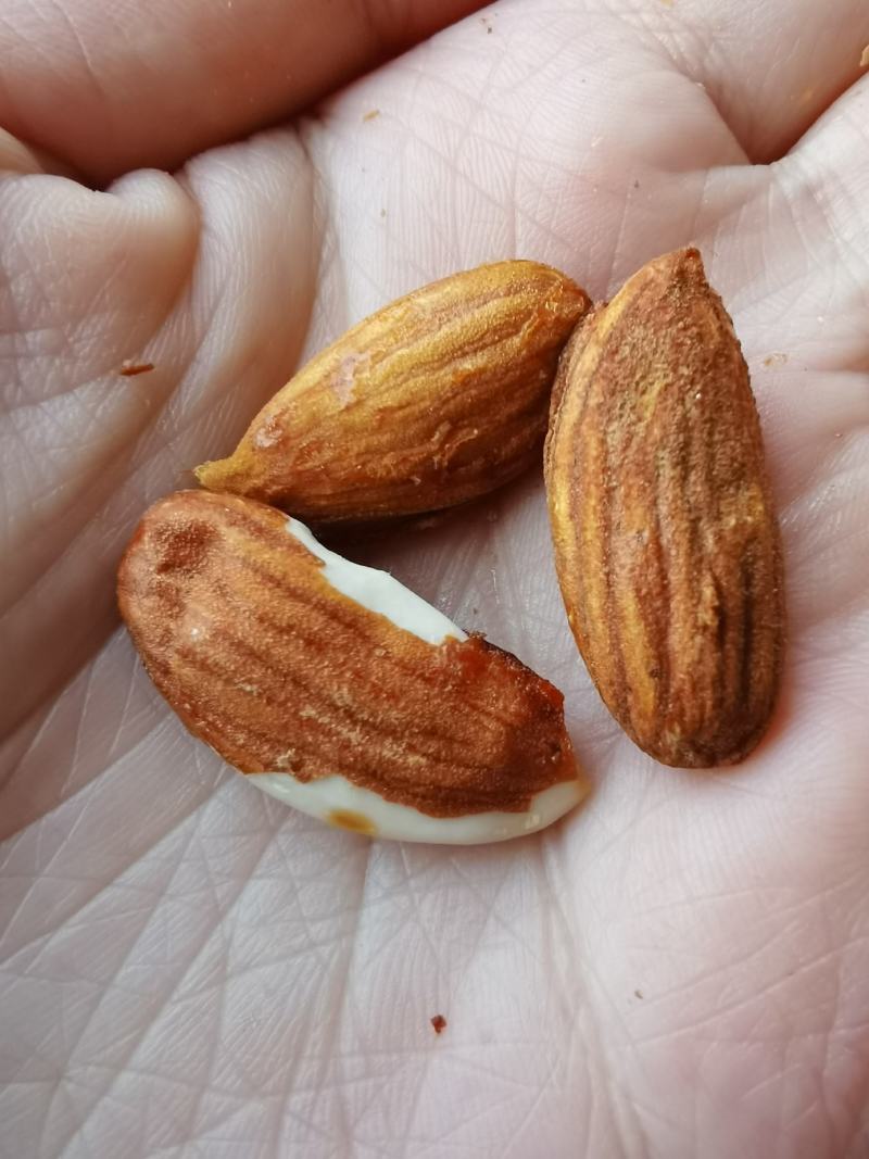 巴旦木五香奶香扁桃仁批发坚果炒货皮薄味美现货供应