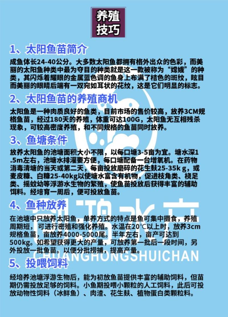 【淡水养殖】蓝腮太阳鱼苗杂交太阳鱼苗金边太阳鱼苗