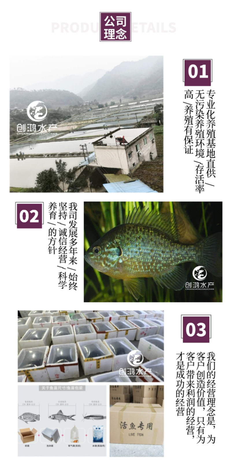 2023新苗蓝腮太阳鱼苗杂交太阳鱼苗高密度养殖品种