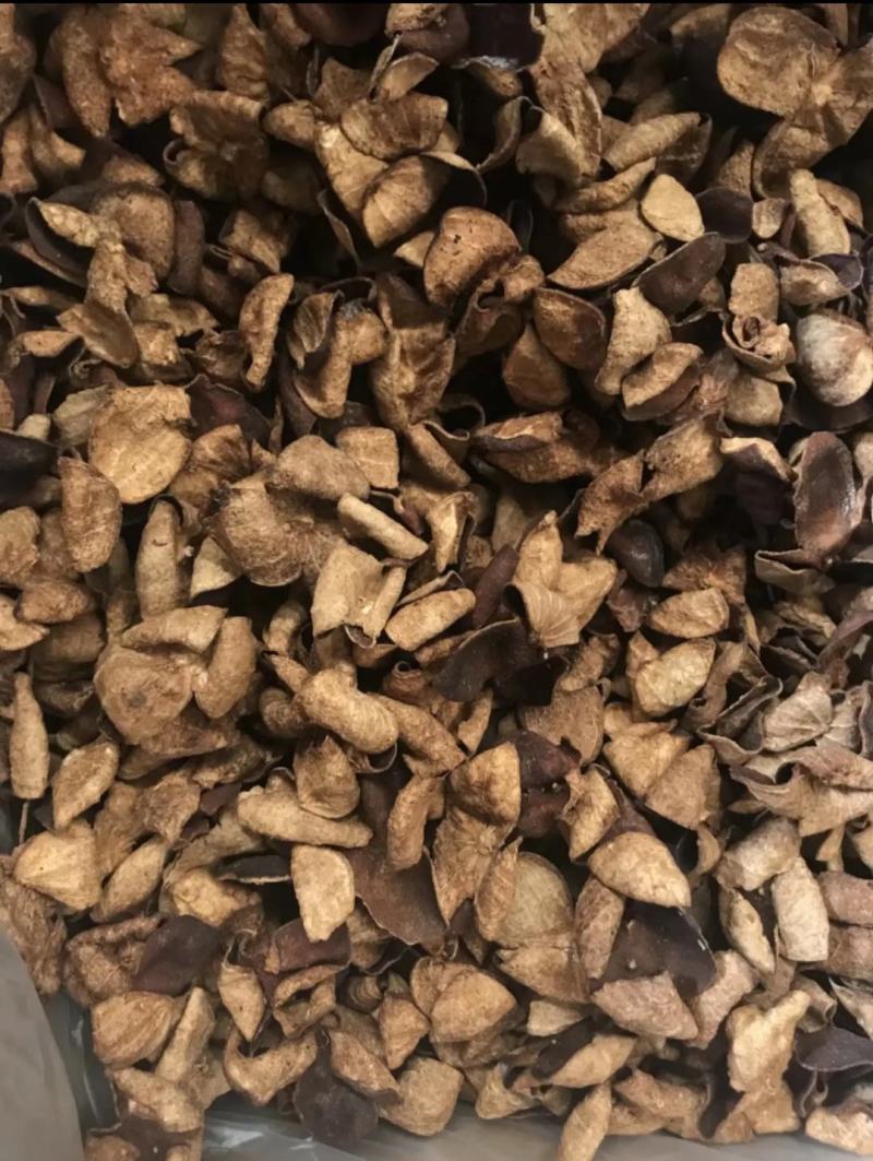 热卖网红陈皮陈皮干特产陈皮泡水泡茶老陈皮干茶