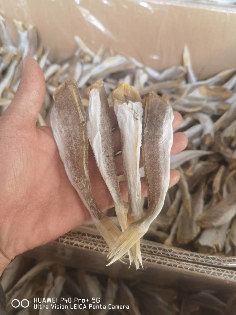 【一手货源】红头鱼红娘鱼咸鱼干小鱼干