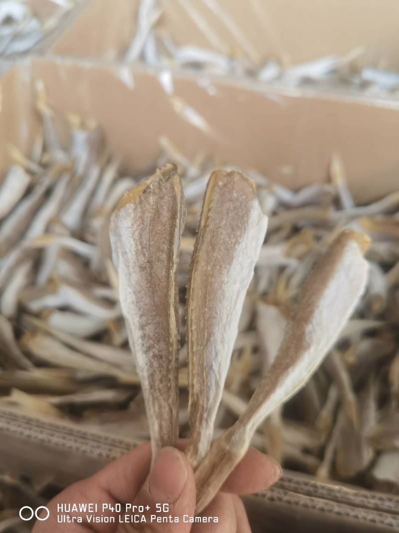 【一手货源】红头鱼红娘鱼咸鱼干小鱼干