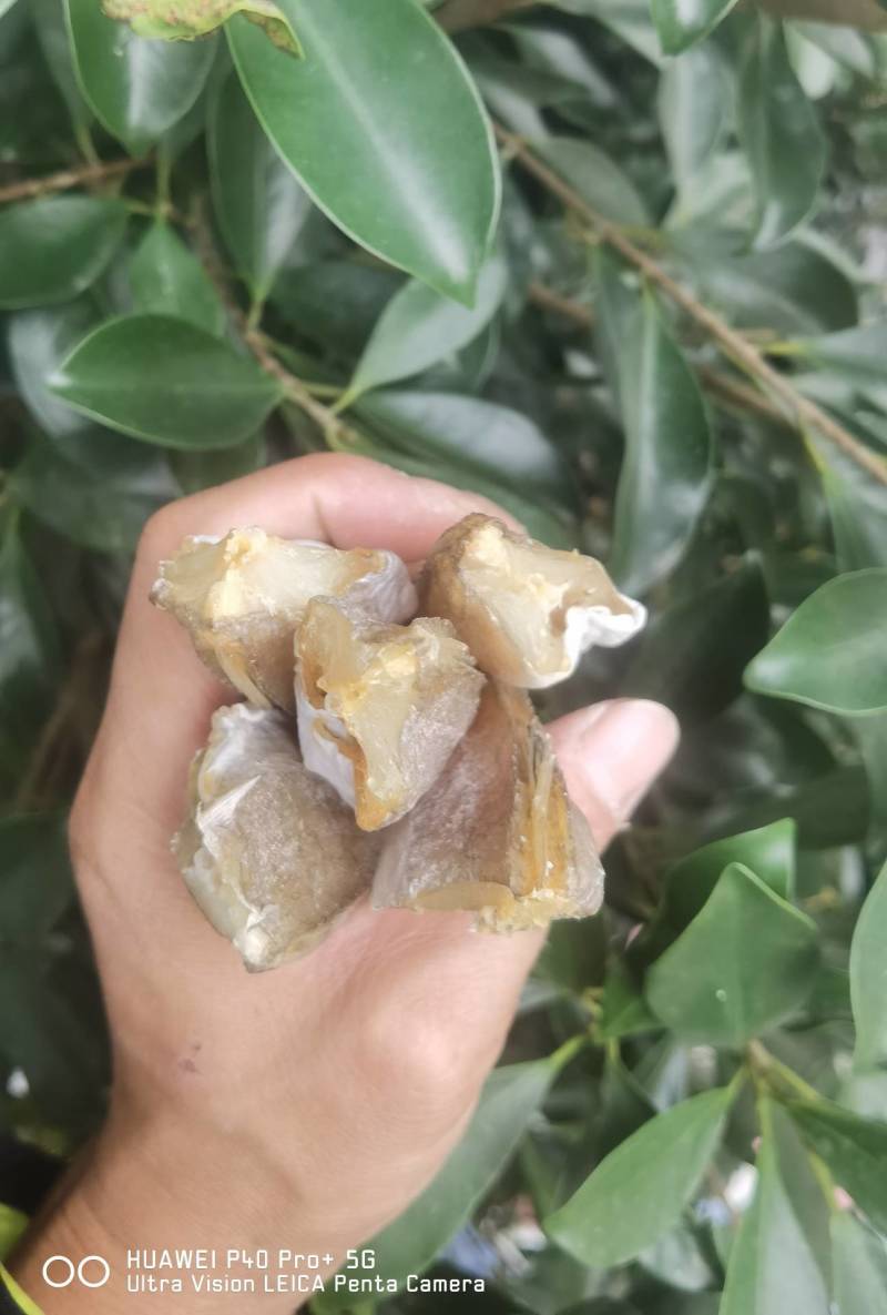 【一手货源】红头鱼红娘鱼咸鱼干小鱼干