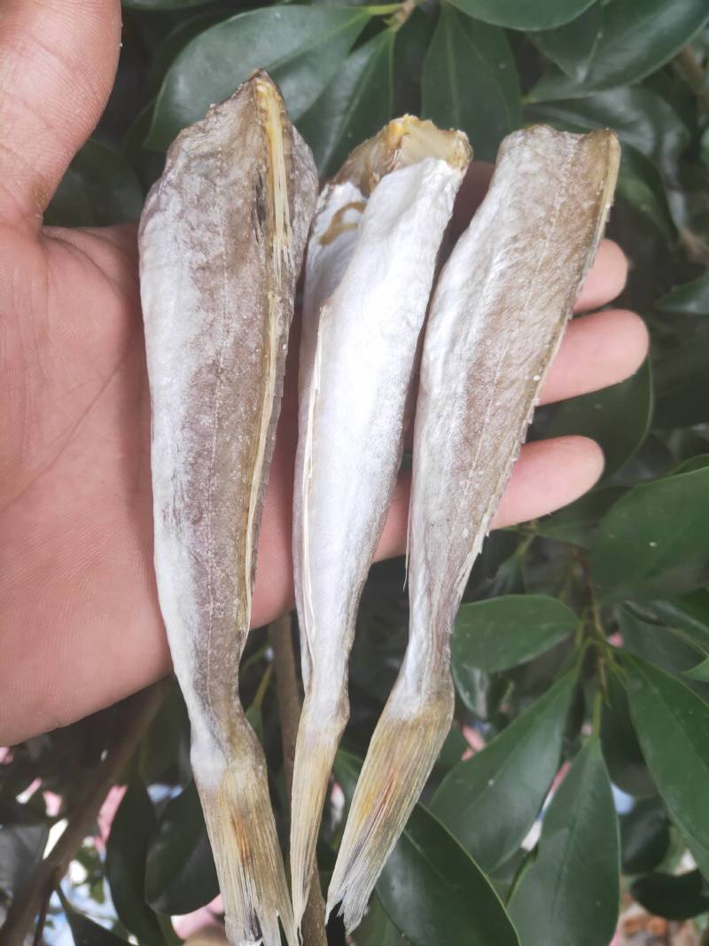 【一手货源】红头鱼红娘鱼咸鱼干小鱼干