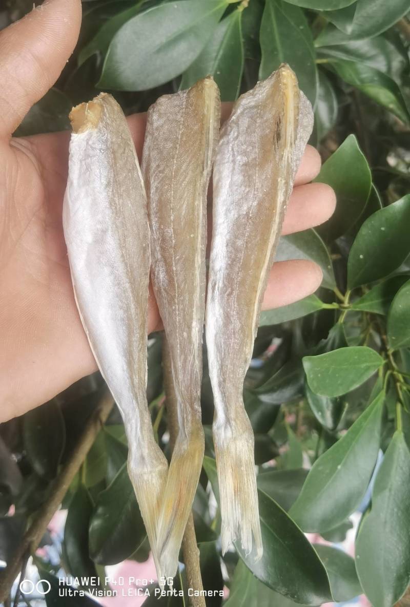 【一手货源】红头鱼红娘鱼咸鱼干小鱼干