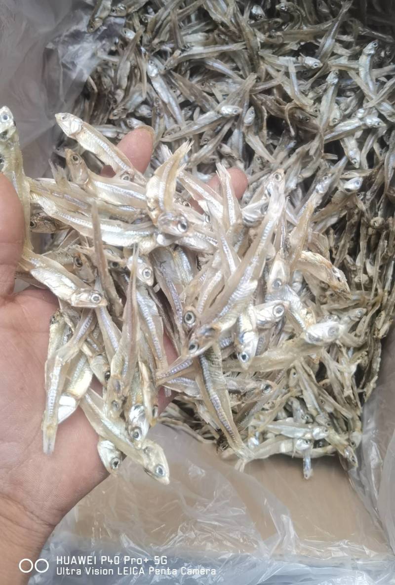 淡晒小鱼干银鱼仔白凡鱼公干鱼摆地摊热卖产品