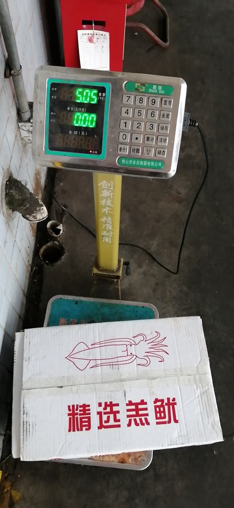 膏鱿，子乌，熟冻产品，膏鱿，子乌，熟冻产品