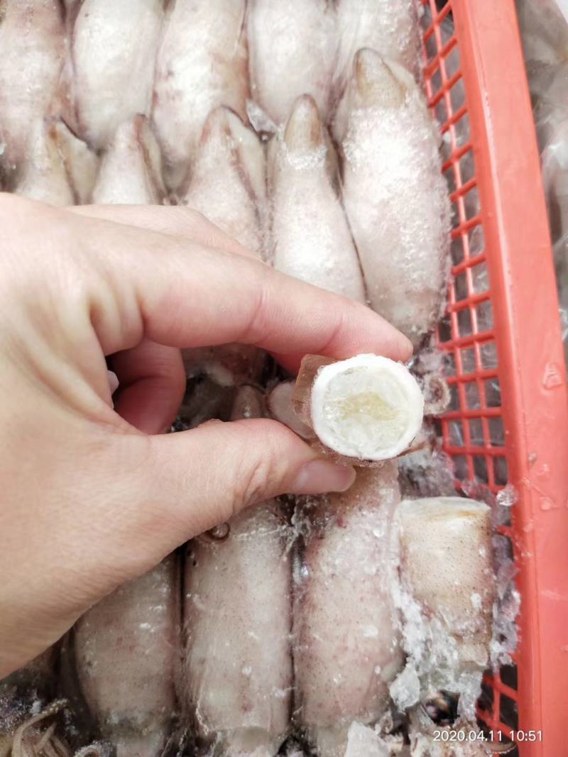 膏鱿，子乌，熟冻产品，膏鱿，子乌，熟冻产品