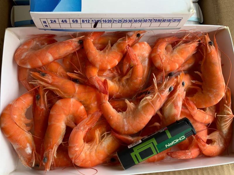 熟对虾，红对虾，正关带票，熟对虾，红对虾，正关带票