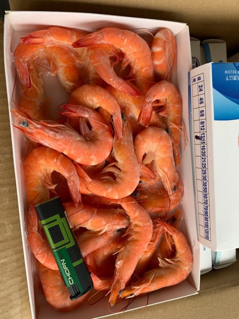 熟对虾，红对虾，正关带票，熟对虾，红对虾，正关带票