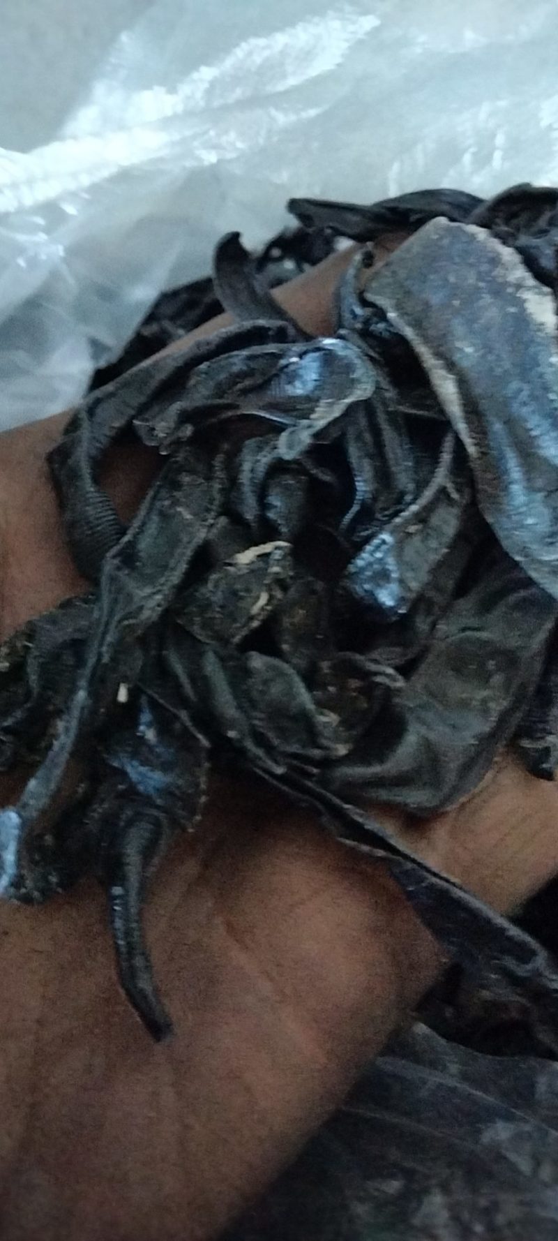 东北天然宽体金线，清水统货，吊干货，常年持续供货，