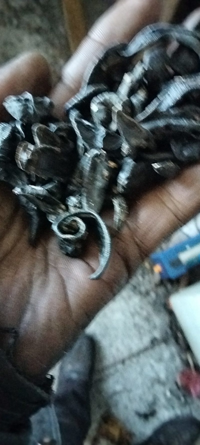 东北天然宽体金线，清水统货，吊干货，常年持续供货，
