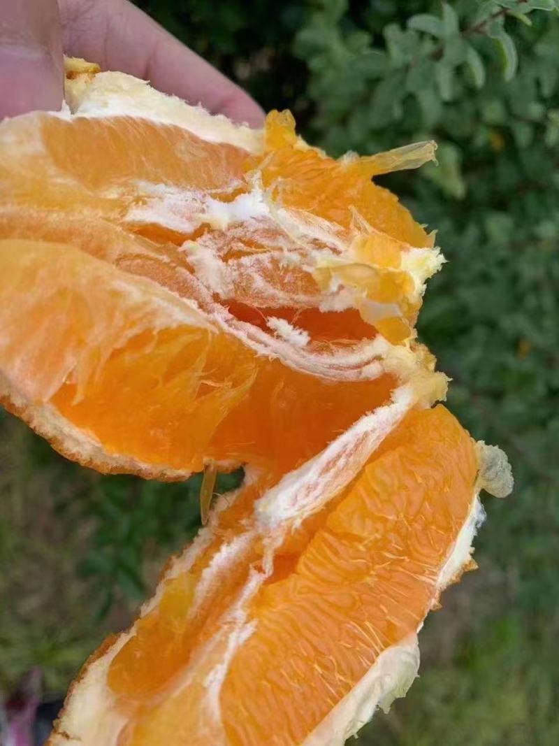 奉节脐橙，自家果园，基地直发，按需分拣，保证质量，协助找