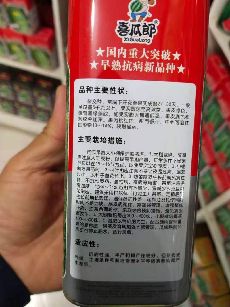 美都西瓜种子奖新美都综合表现均优于84-24和原美都