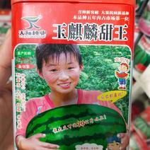麒麟西瓜种子玉麒麟甜王高抗病耐重茬绿皮墨带含糖14度