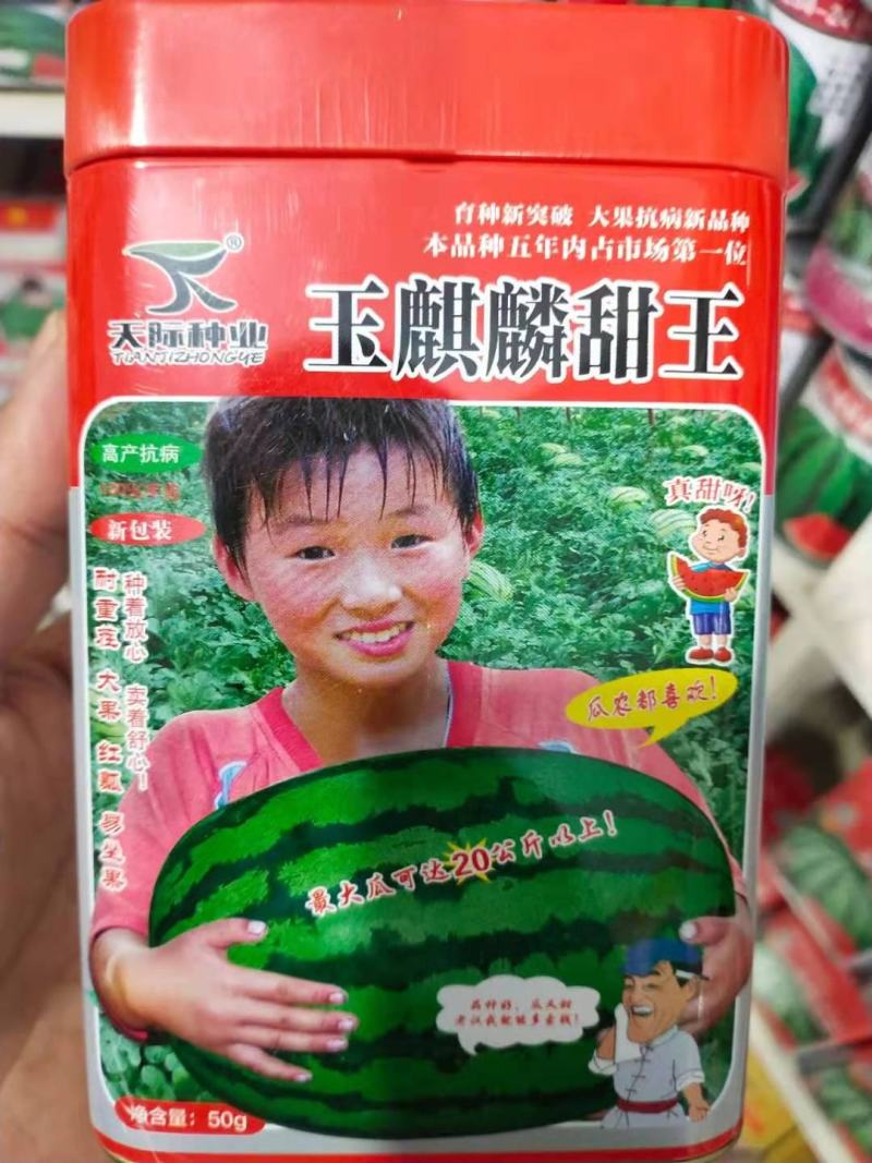 麒麟西瓜种子玉麒麟甜王高抗病耐重茬绿皮墨带含糖14度