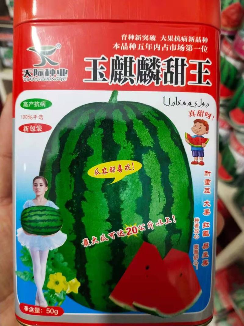 麒麟西瓜种子玉麒麟甜王高抗病耐重茬绿皮墨带含糖14度