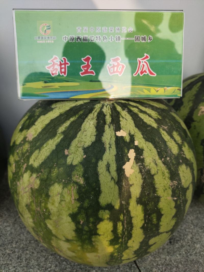 麒麟西瓜种子玉麒麟甜王高抗病耐重茬绿皮墨带含糖14度