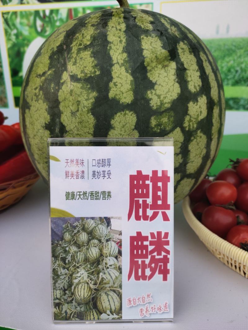 麒麟西瓜种子玉麒麟甜王高抗病耐重茬绿皮墨带含糖14度