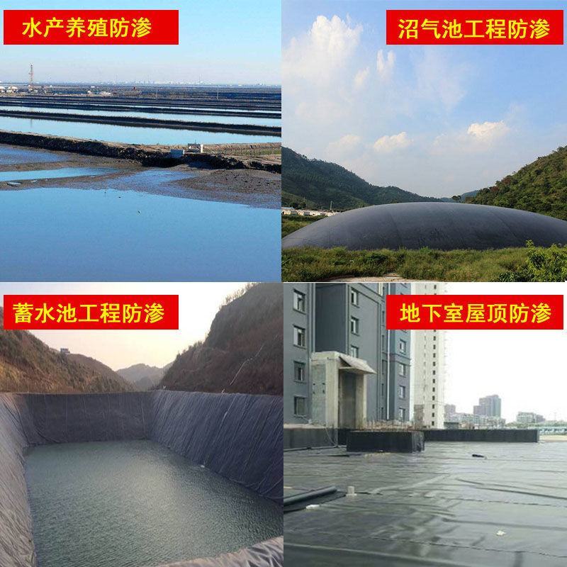 鱼塘防渗膜防渗膜黑色PE养殖膜鱼藕池防渗土工膜沼气池