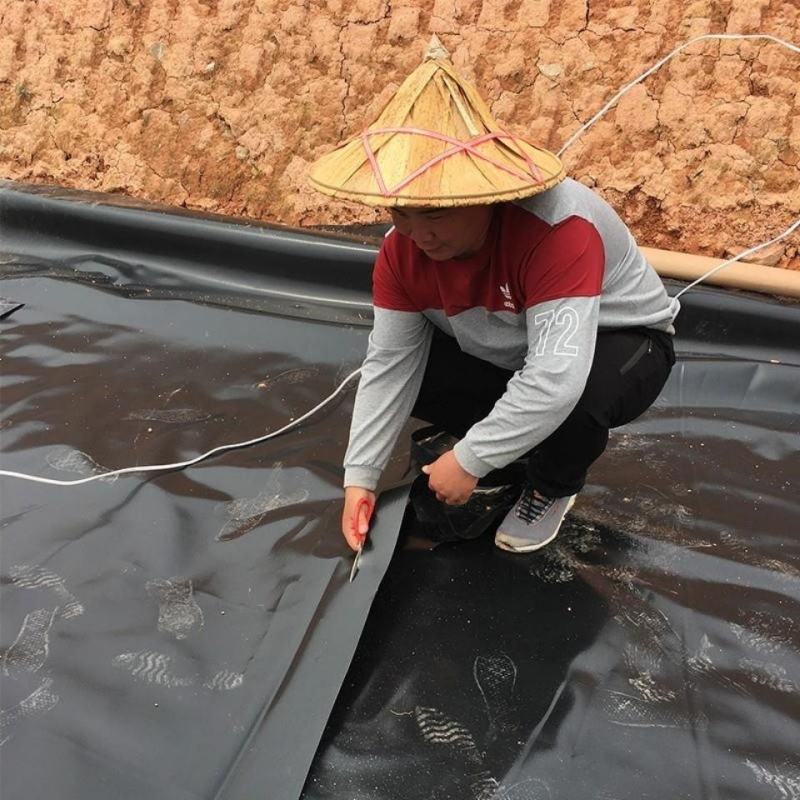鱼塘防渗膜防渗膜黑色PE养殖膜鱼藕池防渗土工膜沼气池
