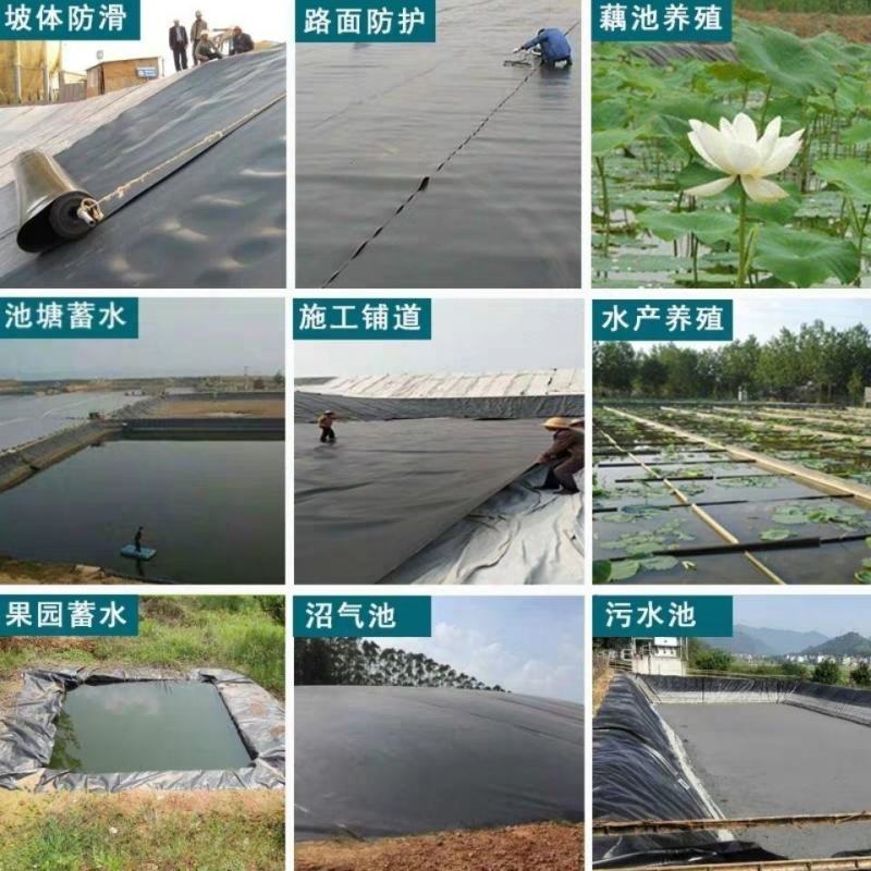 鱼塘防渗膜防渗膜黑色PE养殖膜鱼藕池防渗土工膜沼气池
