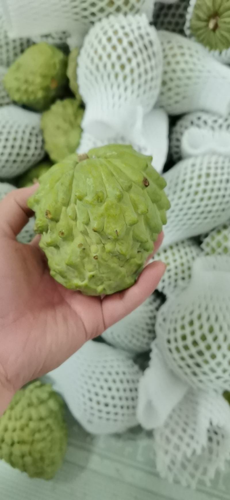 （台湾释迦果）广西凤梨释迦果，一斤8块，批发，一件代发
