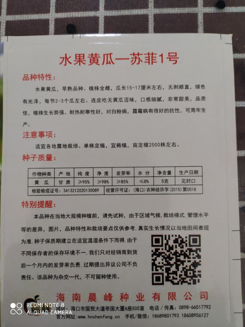 光滑顺直无刺，高产抗病，口感佳水果黄瓜种子