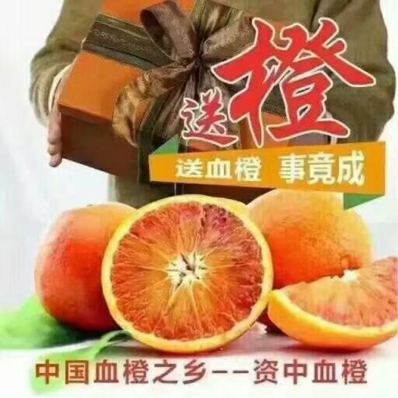 资中塔罗科血橙资中血橙产地货源供应链大宗批发