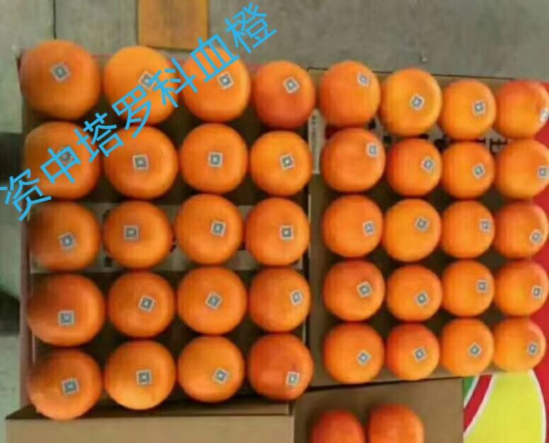 资中塔罗科血橙资中血橙产地货源供应链大宗批发