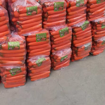 萝卜精品胡萝卜🥕绿色基地直供