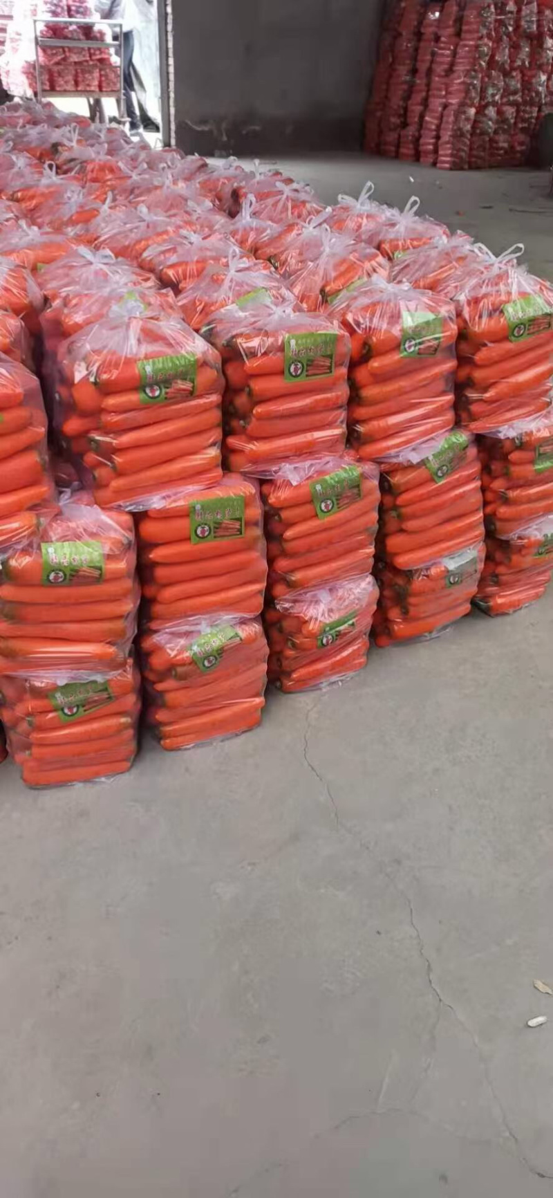 萝卜精品胡萝卜🥕绿色基地直供