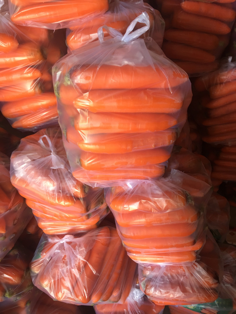 萝卜精品胡萝卜🥕绿色基地直供