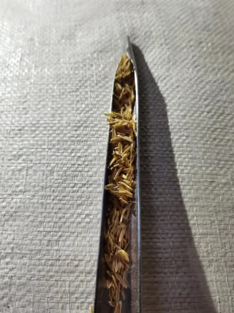 谷壳，软包，普通包，每天约9.6一车9吨左右