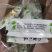 罗汉果脱水黄金果批发质量保证