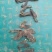 【基地特价】玄参无硫过筛烘干片,基地直销,量小清仓特价