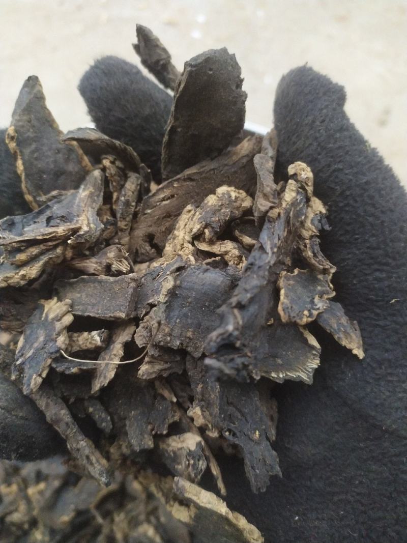 【基地特价】玄参无硫过筛烘干片，基地直销，量小清仓特价