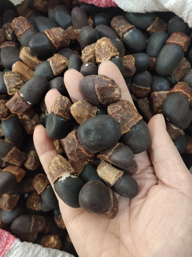 野生马牙果缅茄菩提子阴阳子，可全国发货