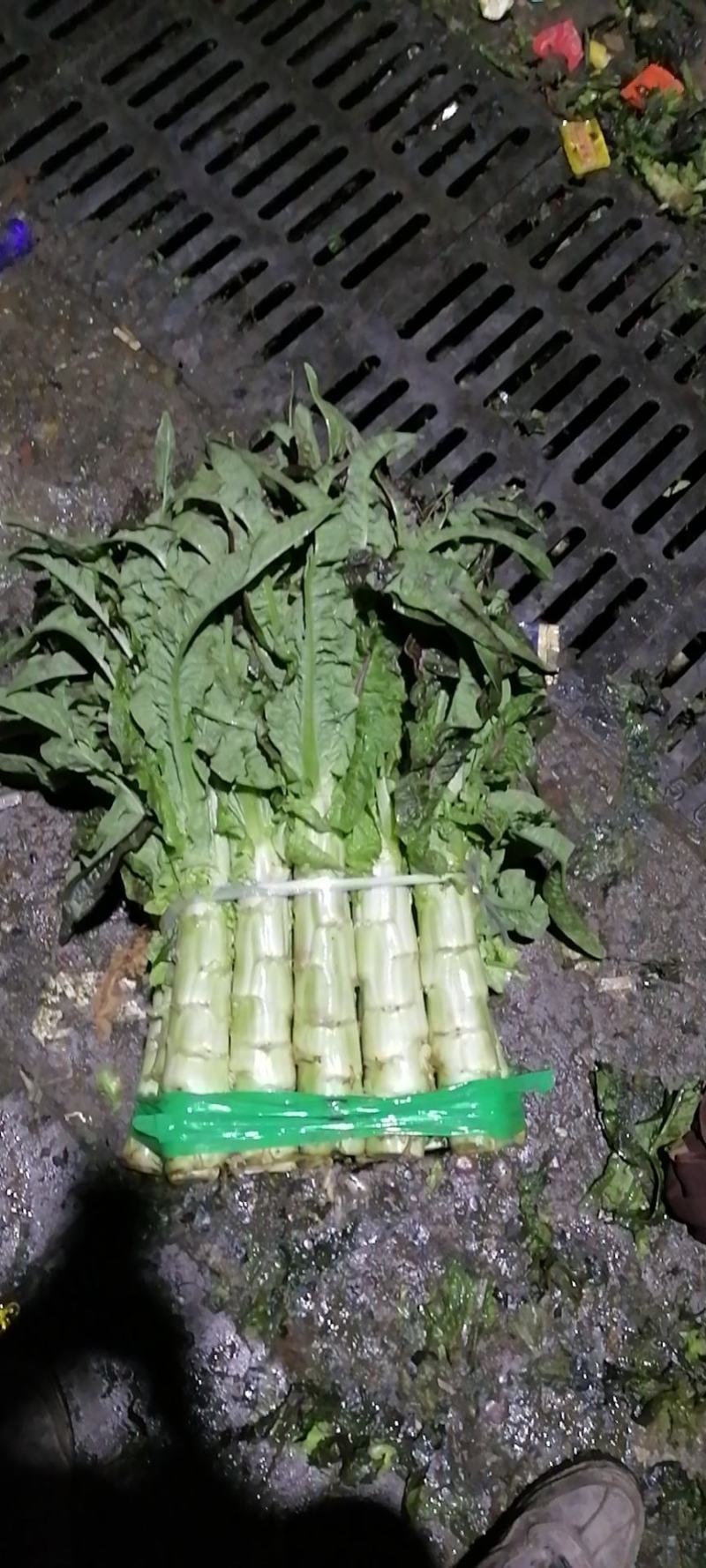 红叶莴笋都是精品，有需要的老板跟我联系