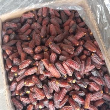 沙特阿拉伯进口椰枣干特级阿联酋迪拜大椰枣免洗一件代发