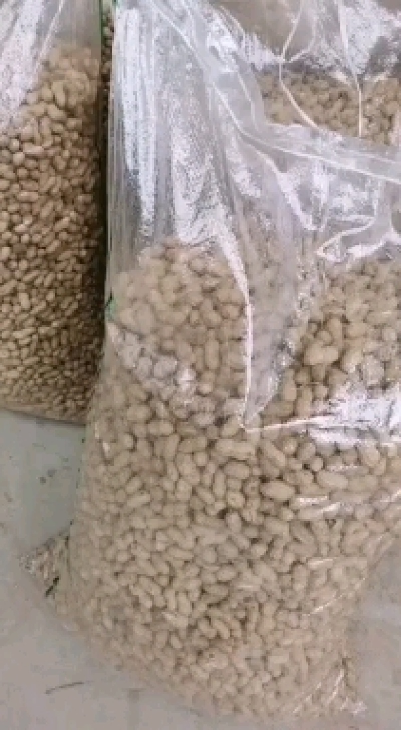 孟州黄河滩手选杠三精果