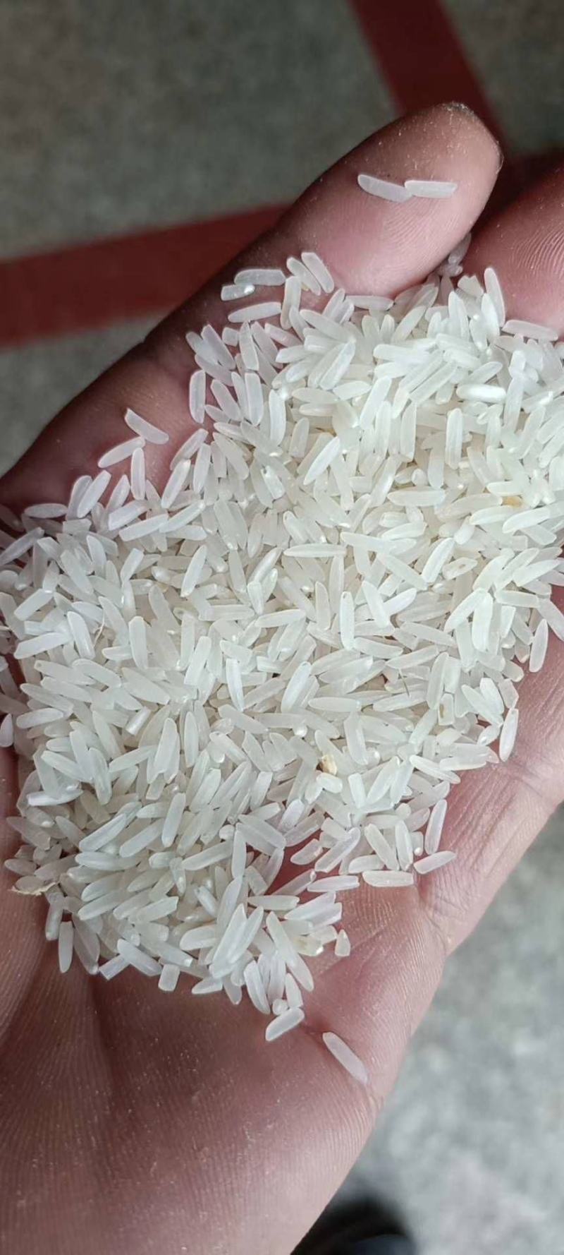25年精品烘干黄花占稻谷口感好，米质油，亮白度好，无黄