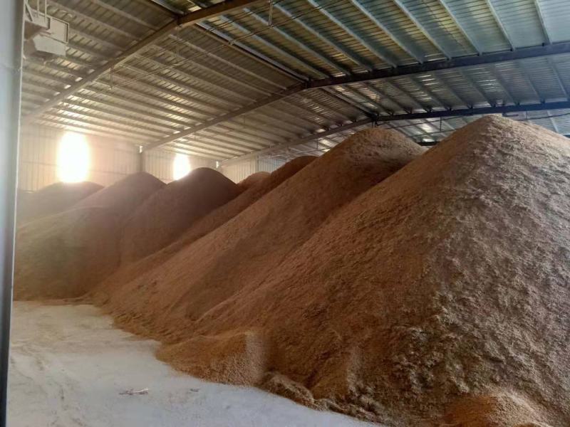 25年精品烘干黄花占稻谷口感好，米质油，亮白度好，无黄