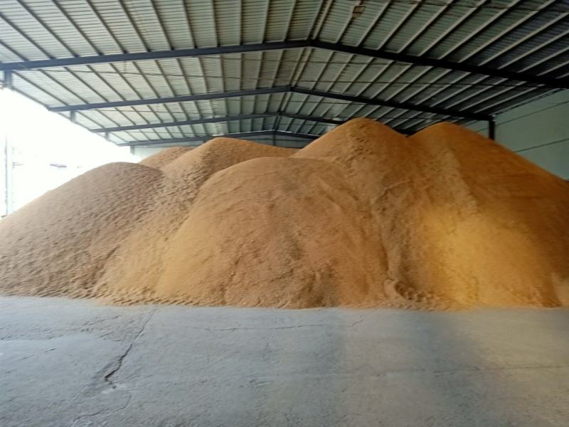 25年精品烘干黄花占稻谷口感好，米质油，亮白度好，无黄